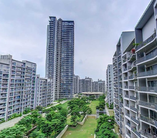 Ireo Skyon